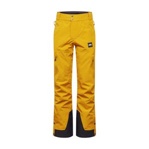 Picture Organic Clothing Športové nohavice  čierna / zlatá žltá