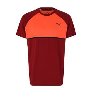 PUMA Funkčné tričko  oranžová / hrdzavo červená