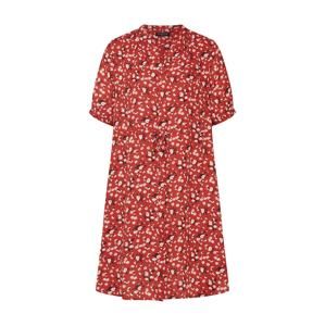 SELECTED FEMME Košeľové šaty 'POPPY DAMINA'  hrdzavo červená