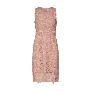 Carolina Cavour Kleider 'Lace Dress without sleeves'  rosé