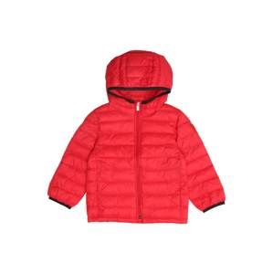 GAP Zimná bunda 'PUFF'  červené