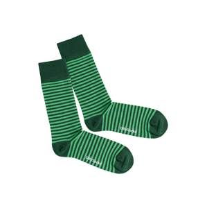 DillySocks Ponožky 'Green Ring'  zelená