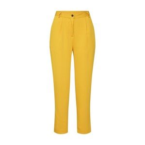 BROADWAY NYC FASHION Plisované nohavice  zlatá žltá