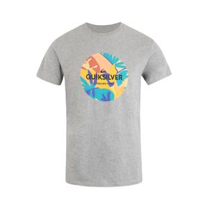 QUIKSILVER Funkčné tričko 'SUMMERSENDSS'  zmiešané farby / sivá