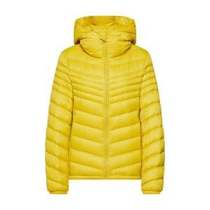 BOSS Zimná bunda 'Ofavour'  žlté