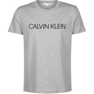 Calvin Klein Swimwear T-Shirt  sivá
