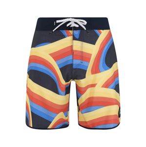 QUIKSILVER Surferské šortky 'Highline Fyday 18'  zmiešané farby