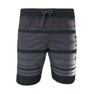 Nike Swim Športové plavky - spodný diel  sivá / čierna