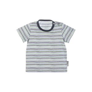 STERNTALER Tričko  sivá / biela / svetlozelená / modrá