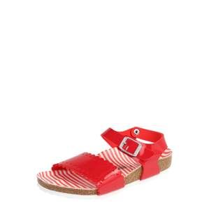 BIRKENSTOCK Sandále 'RISA'  červené / biela