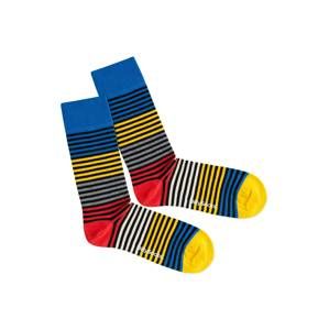 DillySocks Ponožky 'Four Color Ring'  zmiešané farby