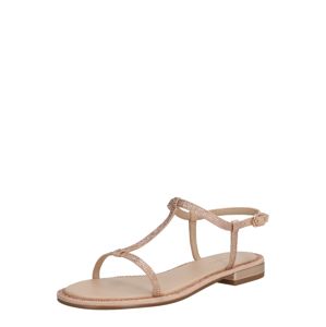 ALDO Remienkové sandále 'YBOIMMA'  zlatá / rosé