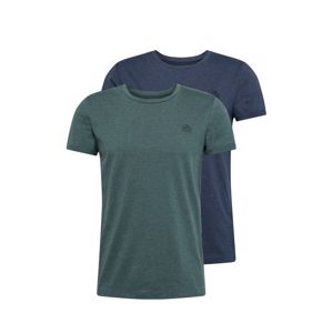 TOM TAILOR DENIM Tričko 'doublepack T-shirt'  modré / zelená