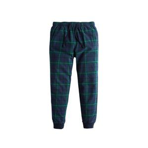 HOLLISTER Pyžamové nohavice  tmavomodrá / zelená