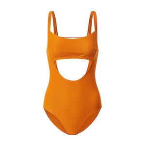 Icone Lingerie Jednodielne plavky 'VENISE'  oranžová