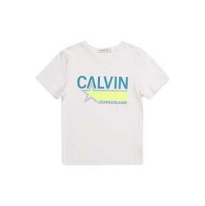 Calvin Klein Jeans Tričko 'CALVIN STAR'  svetlomodrá / svetlozelená / biela