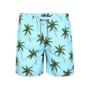 Shiwi Plavecké šortky 'palms'  zelená / svetlomodrá