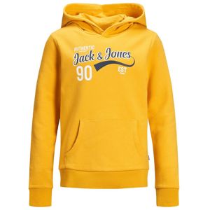 Jack & Jones Junior Sweatshirt 'JJE NOOS '  žlté