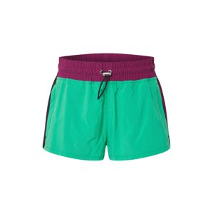 DIESEL Shorts 'FLYNN'  zelená / fialová