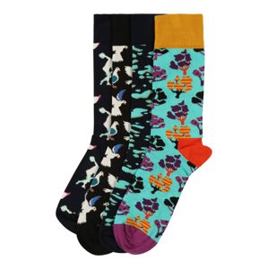 Happy Socks Ponožky 'Day In The Park Gift Box'  zmiešané farby