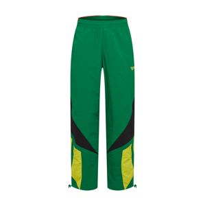 Reebok Classic Nohavice  farby bahna / žltá / zelená