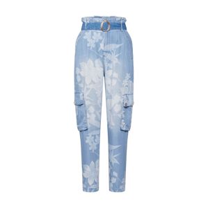 Desigual Jeans 'DENIM_ALBIWON'  modrá denim