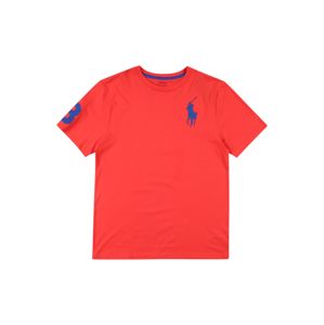 POLO RALPH LAUREN Tričko  červená / námornícka modrá