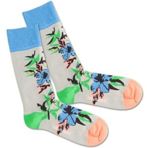 DillySocks Ponožky 'Old Flower'  modrá / sivá